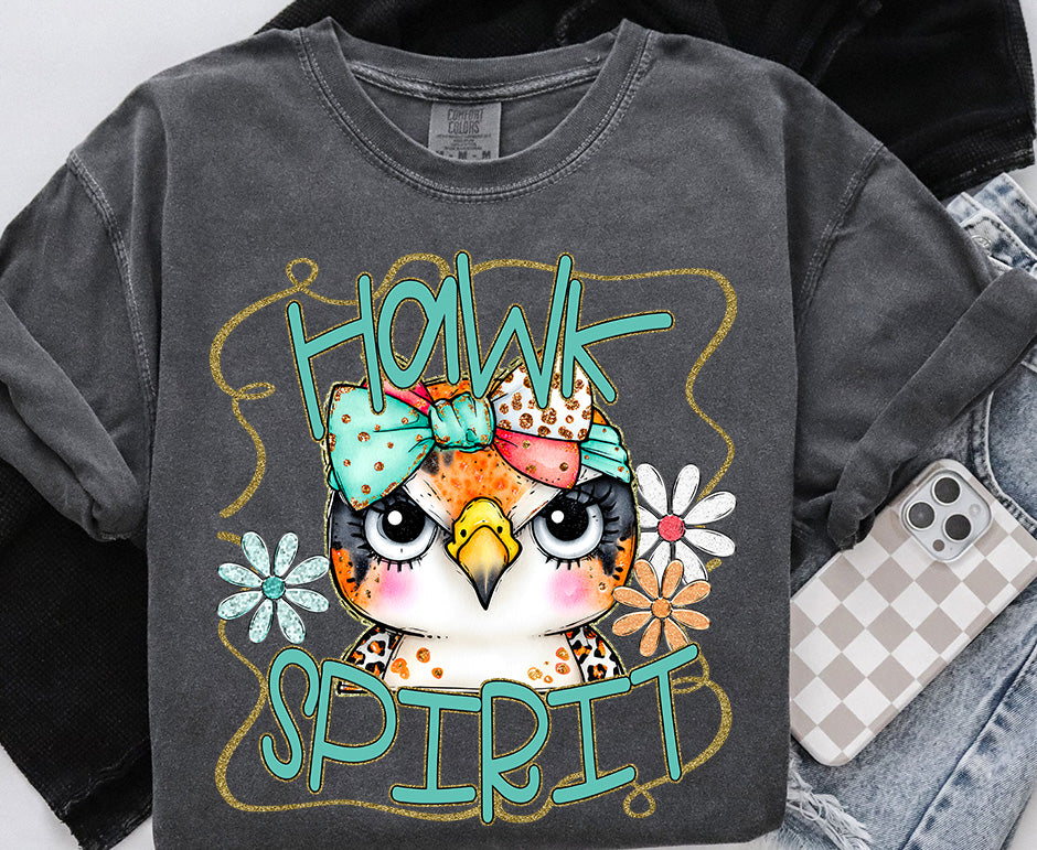 FUNKY RETRO SPIRIT HAWK