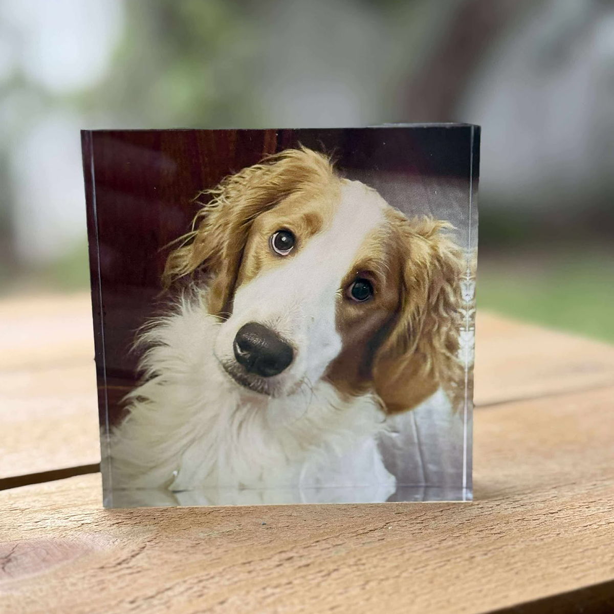 Personalized Acrylic Photo Block β Freestanding Print