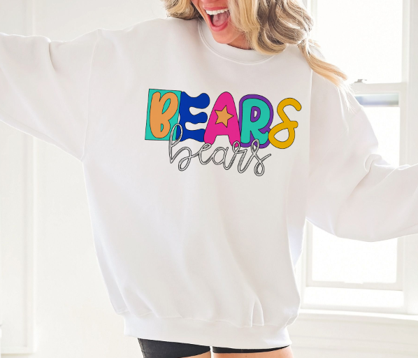 Fun and Funky Mascots Bears