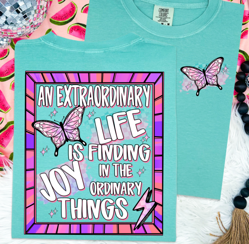 AN EXTRAORDINARY LIFE IS FINDING JOY IN THE ORDINARY THINGS