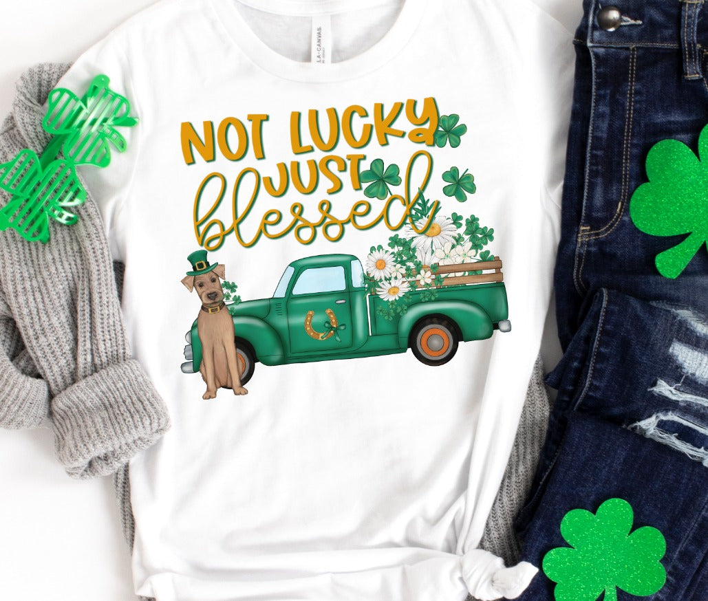 Not Lucky Just Blessed