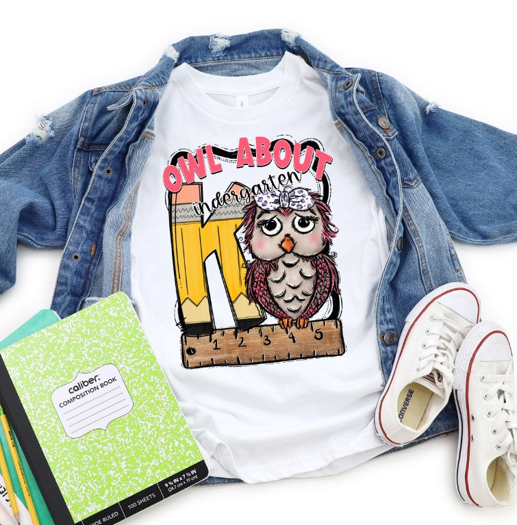 Owl About Grade Level PINK SET