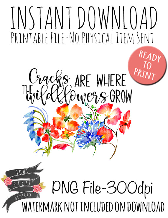 Cracks are where the wildflowers grow