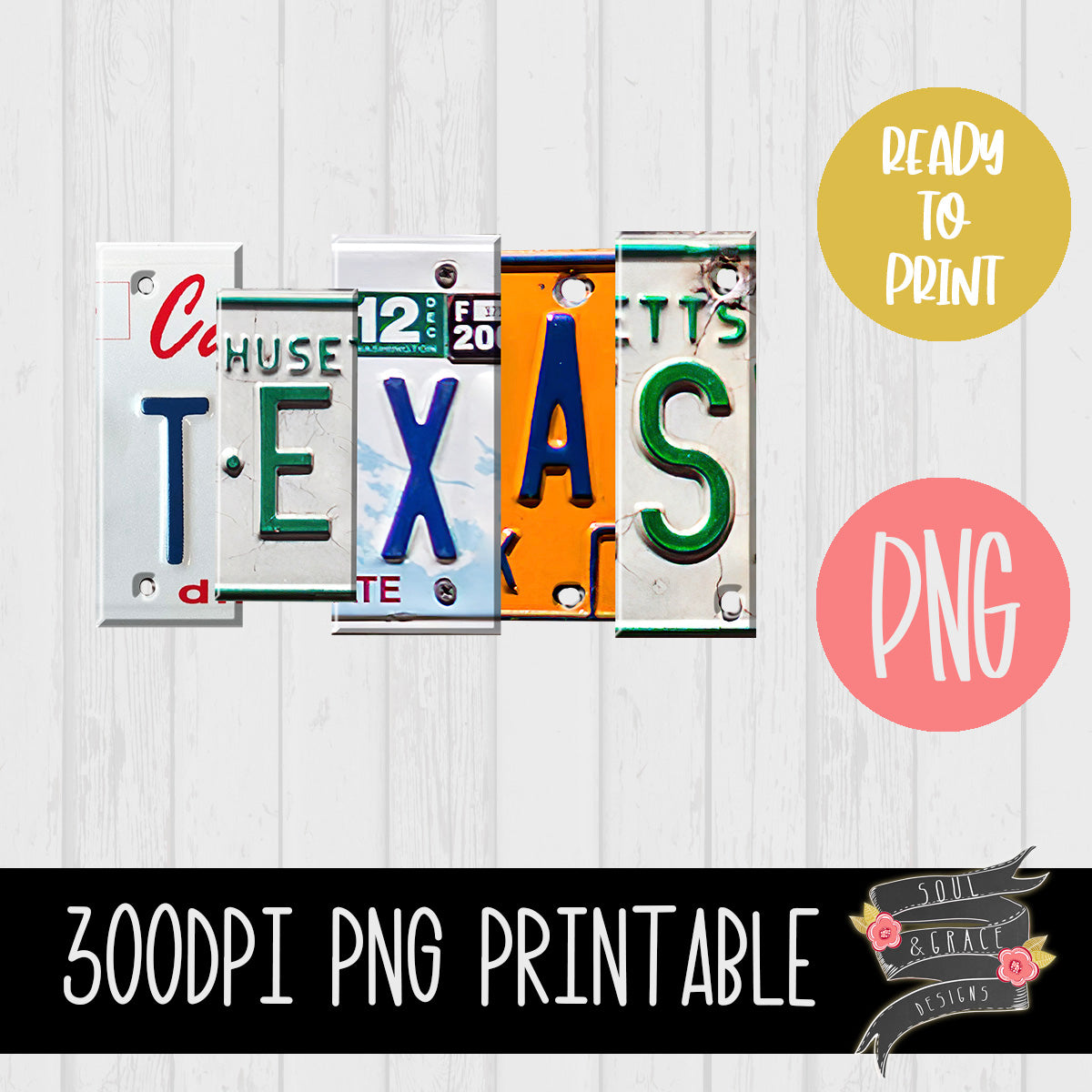 Texas State License Plate