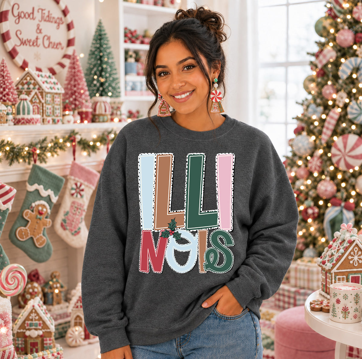 HOLLY JOLLY ILLINOIS