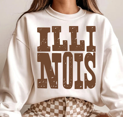 MIXED UP STATE ILLINOIS