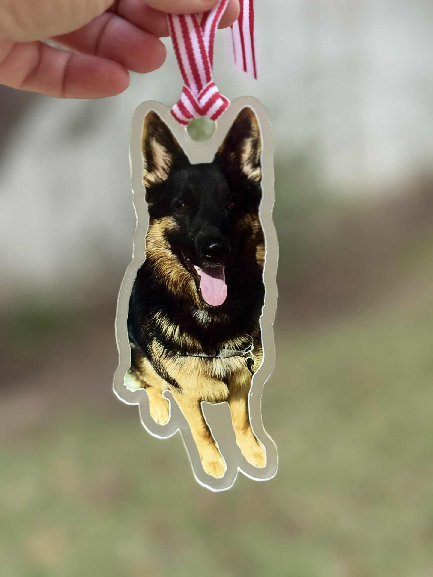 Pet Portrait Acrylic Ornament | Custom Laser-Cut Keepsake Gift