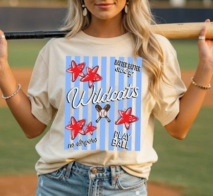 STARS AND STRIPES BASEBALL / SOFTBALL CUSTOM