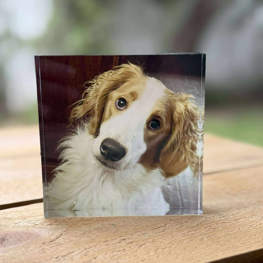 Personalized Acrylic Photo Block – Freestanding Print