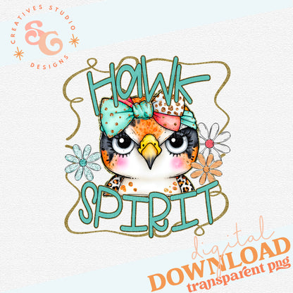 FUNKY RETRO SPIRIT HAWK