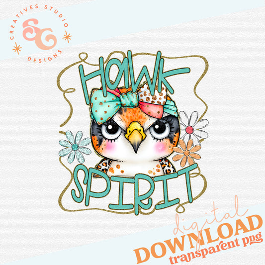 FUNKY RETRO SPIRIT HAWK