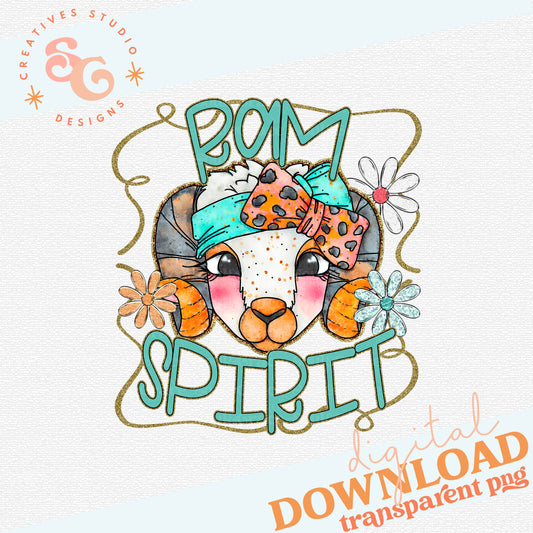 FUNKY RETRO SPIRIT RAM