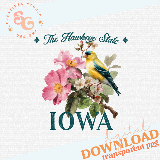 VINTAGE STATES IOWA
