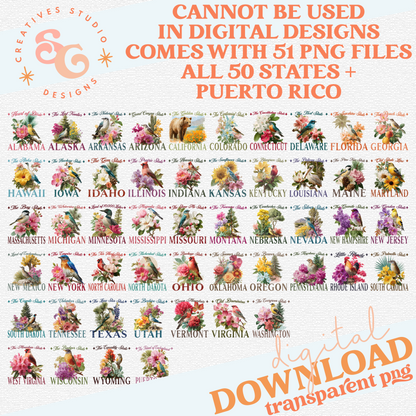 VINTAGE STATES SET - ALL 50 PLUS PUERTO RICO
