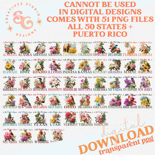 VINTAGE STATES SET - ALL 50 PLUS PUERTO RICO