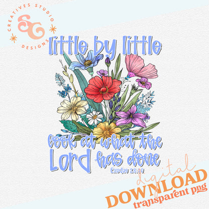 Little By Little Look at What the Lord Has Done