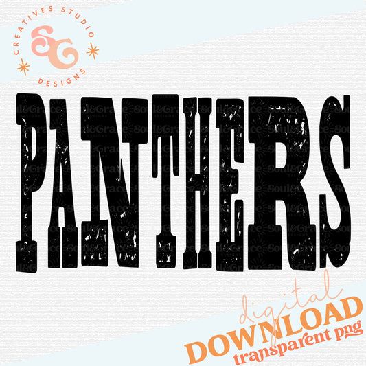 MIXED UP MASCOTS Panthers