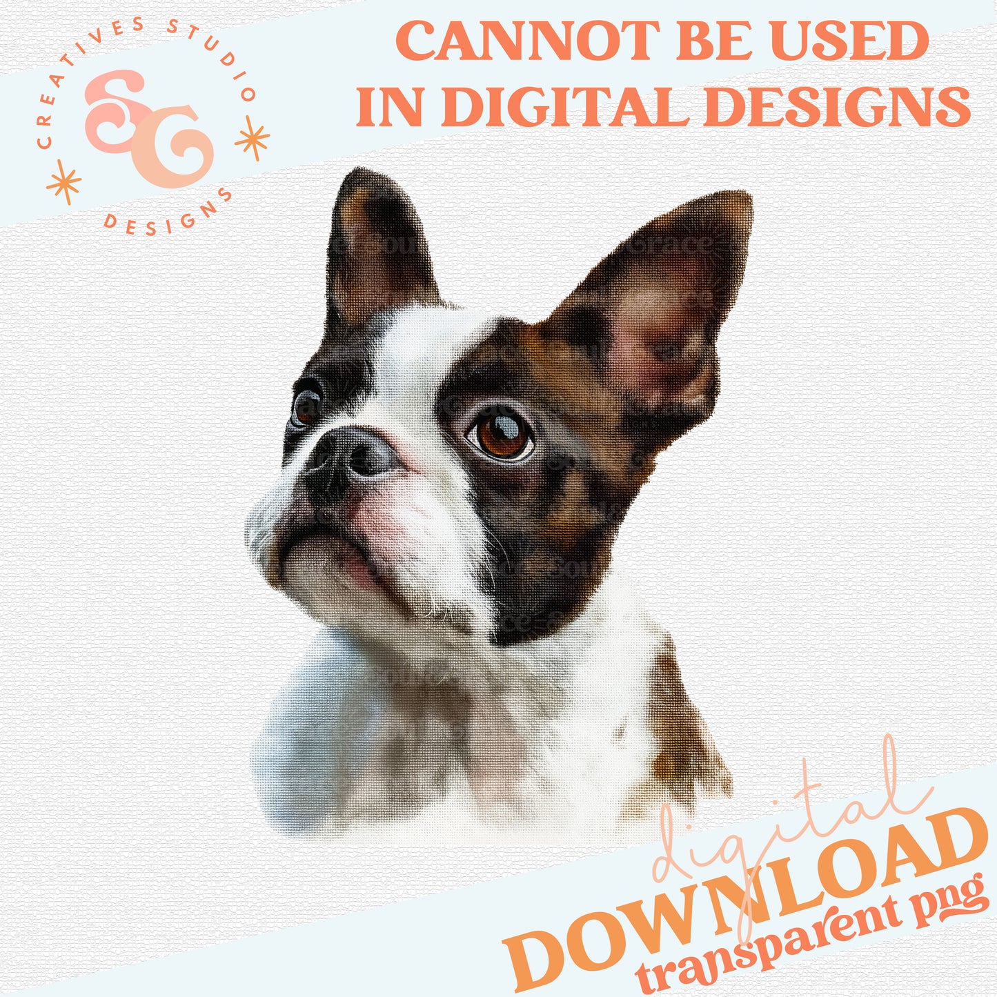 NEEDLEPOINT PETS BOSTON TERRIER 2