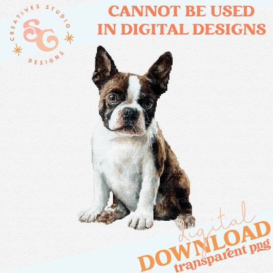 NEEDLEPOINT PETS BOSTON TERRIER