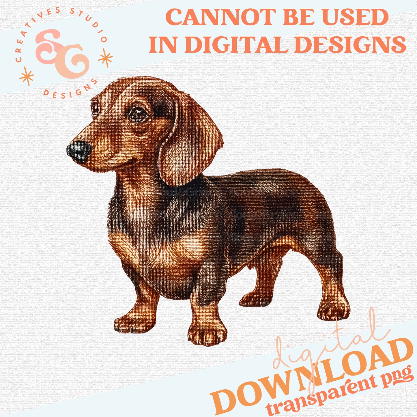 NEEDLEPOINT PETS DACHSHUND
