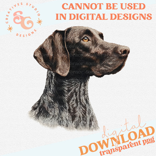 NEEDLEPOINT PETS GERMAN SHORTHAIR POINTER