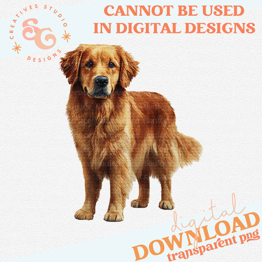 NEEDLEPOINT PETS GOLDEN RETRIEVER