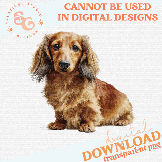 NEEDLEPOINT PETS LONG HAIR DACHSHUND