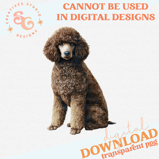 NEEDLEPOINT PETS POODLE 3