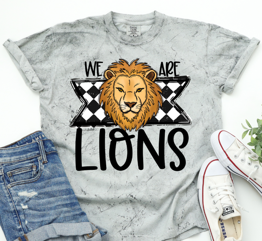 We Are Lions