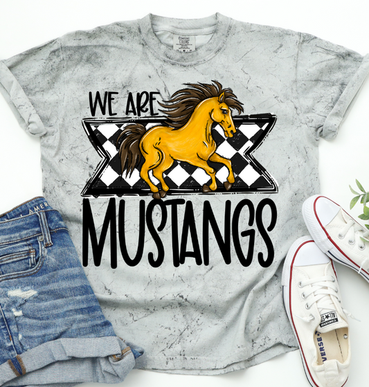 We Are Mustangs