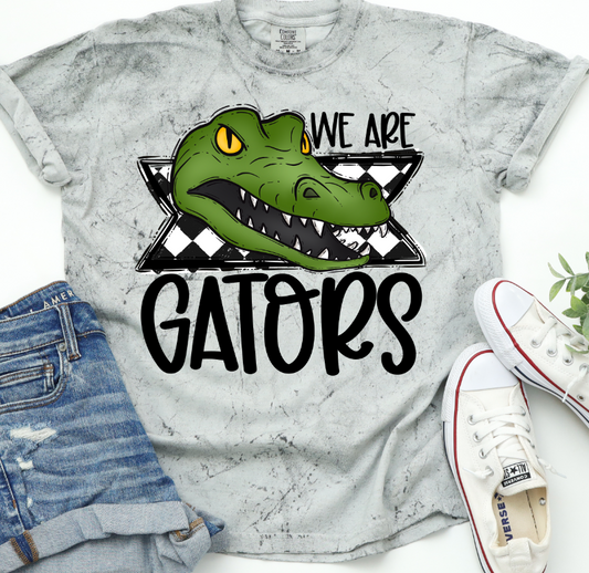 We Are Gators