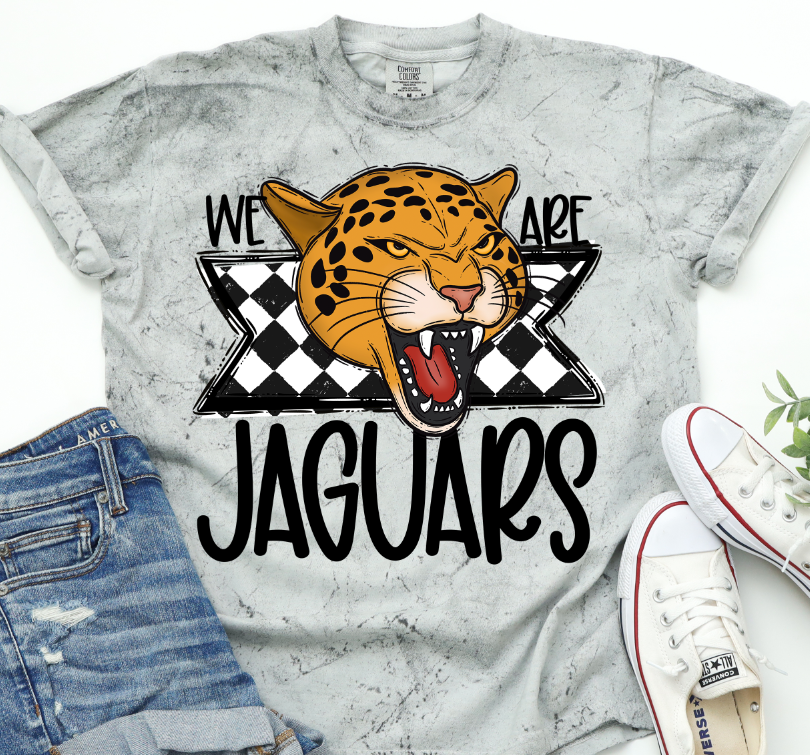 We Are Jaguars