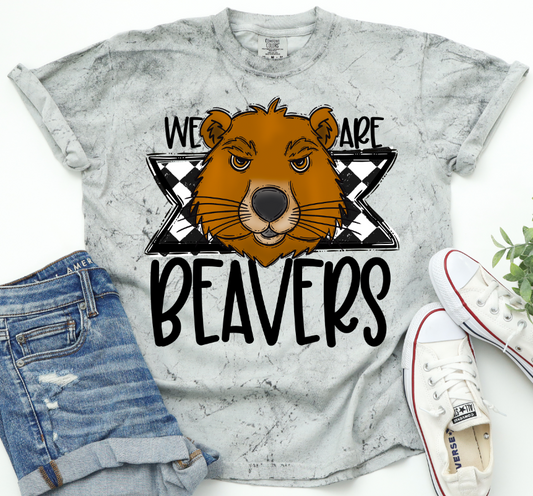 We Are Beavers