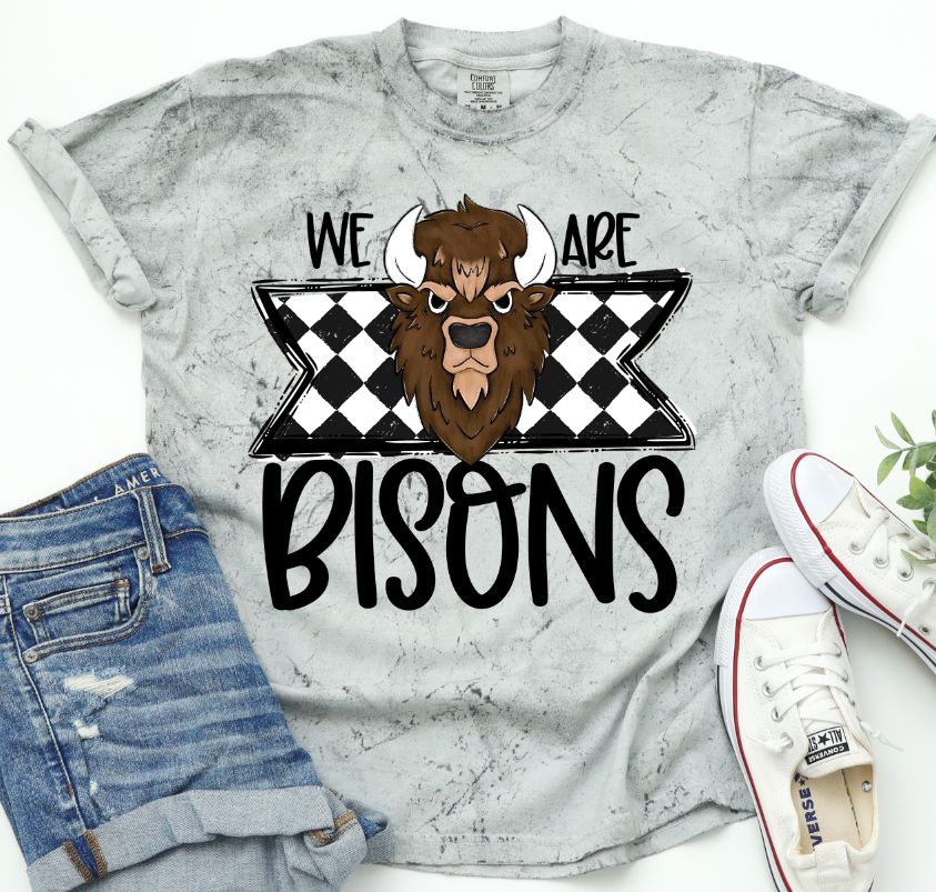 We Are Bisons