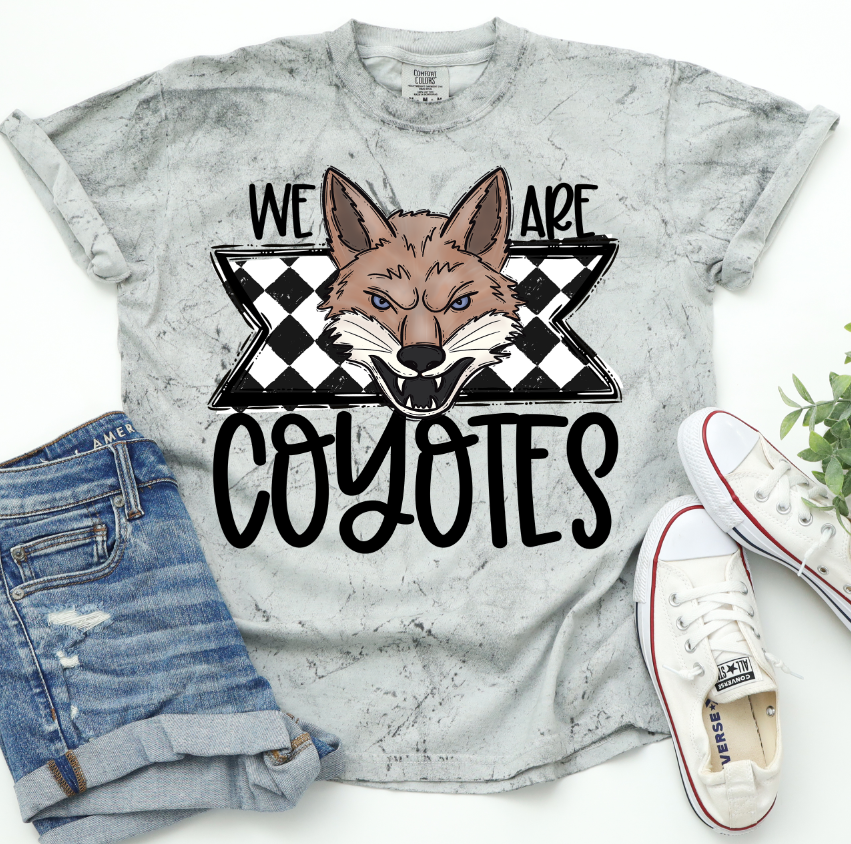 We Are Coyotes