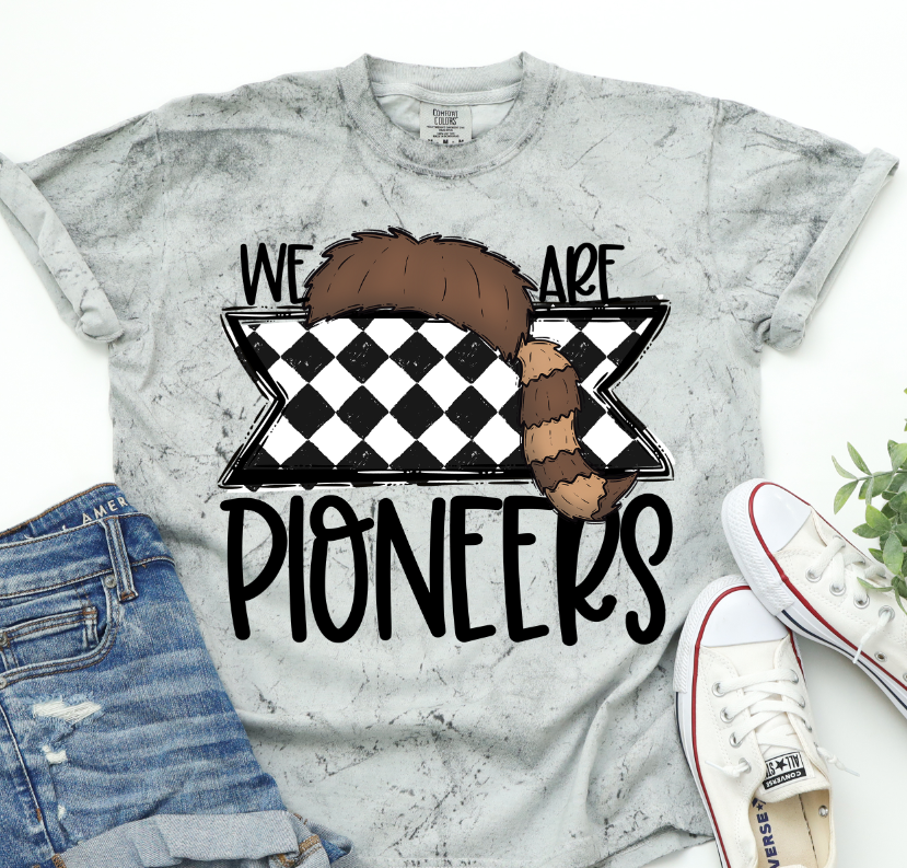 We Are Pioneers