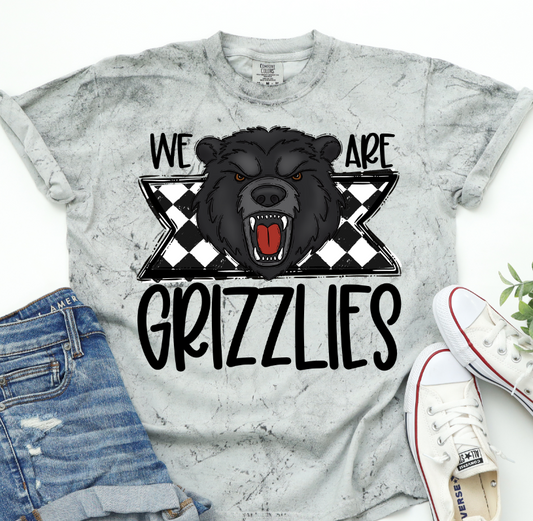 We Are Grizzlies