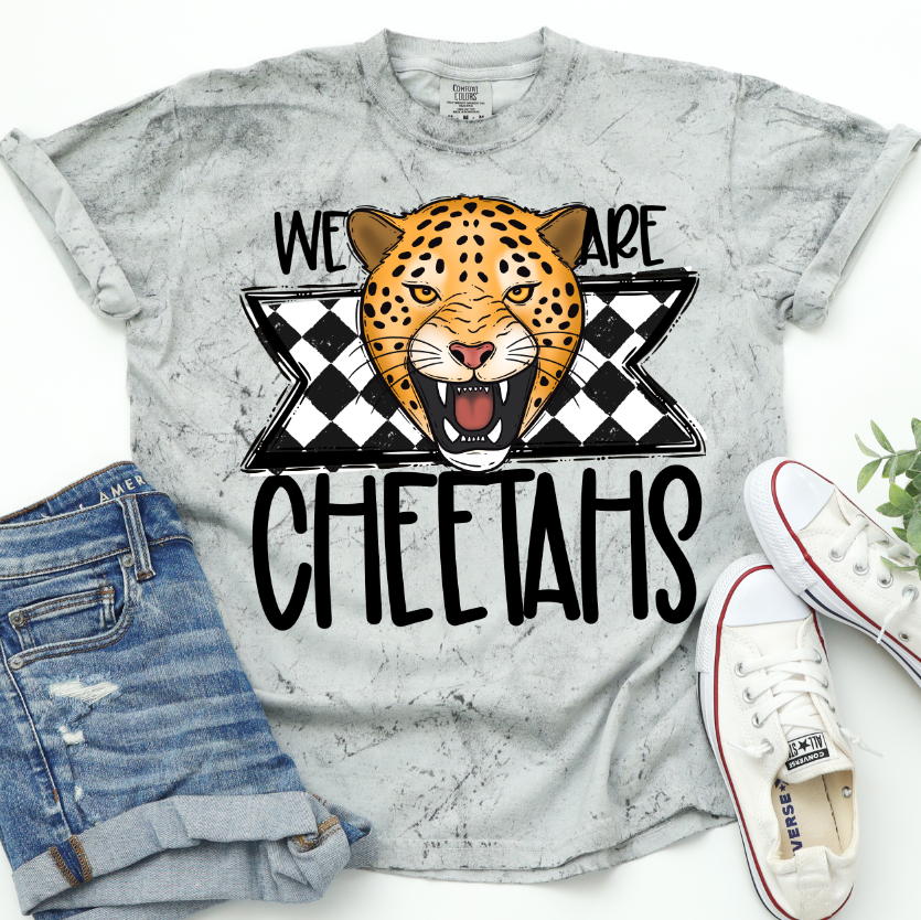 We Are Cheetahs