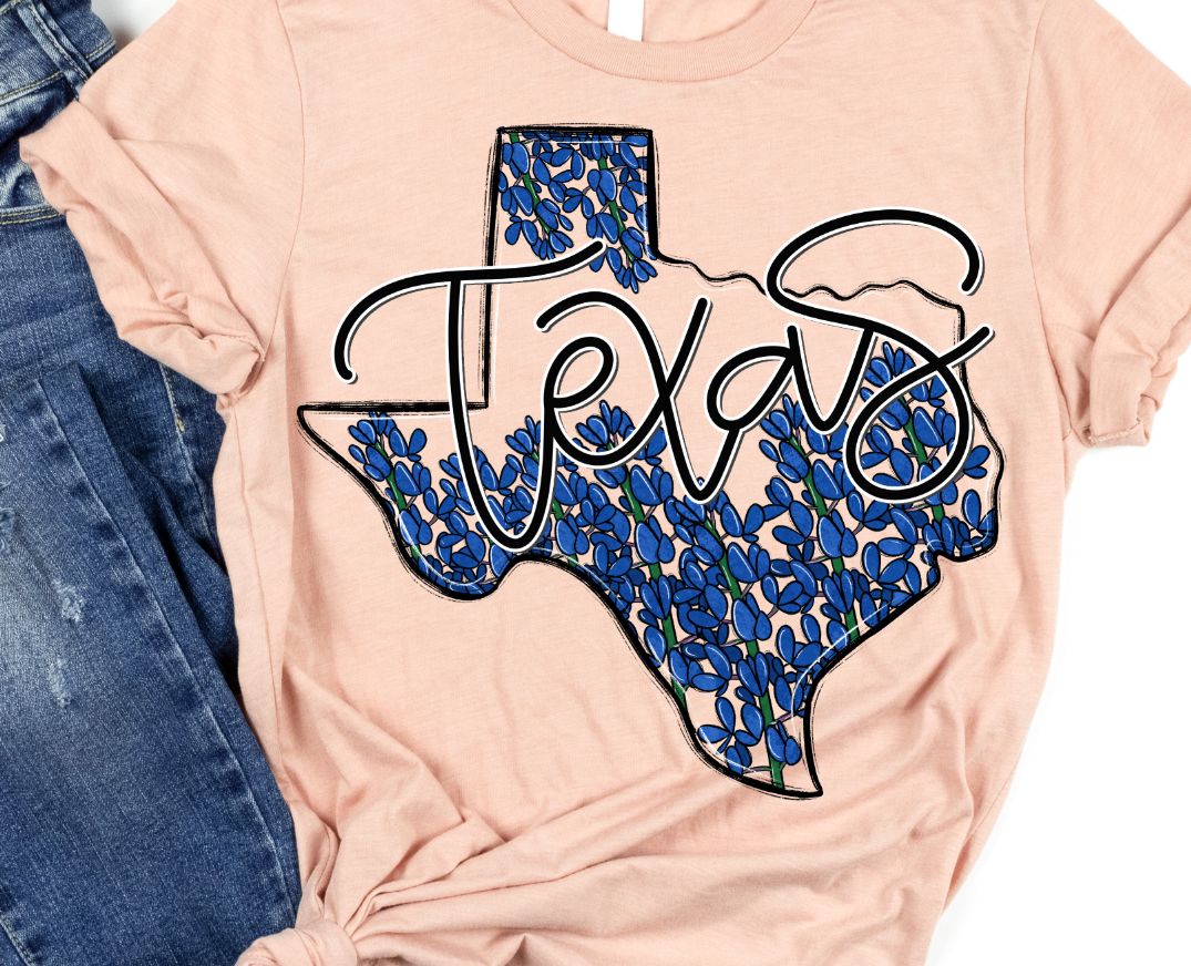 TEXAS WHIMSY STATES [POCKET INCLUDED]