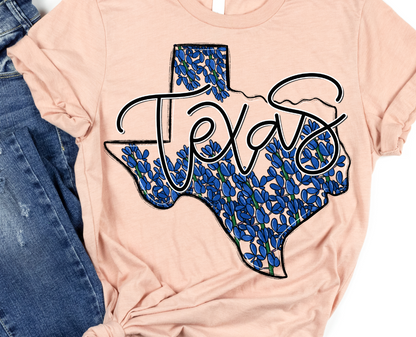 TEXAS WHIMSY STATES [POCKET INCLUDED]