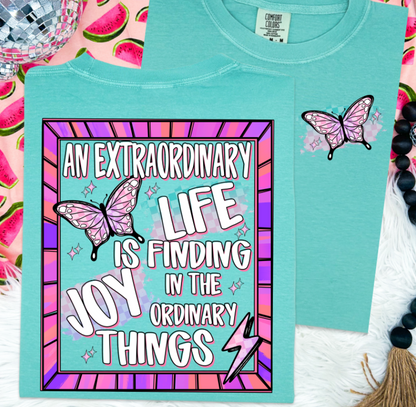AN EXTRAORDINARY LIFE IS FINDING JOY IN THE ORDINARY THINGS