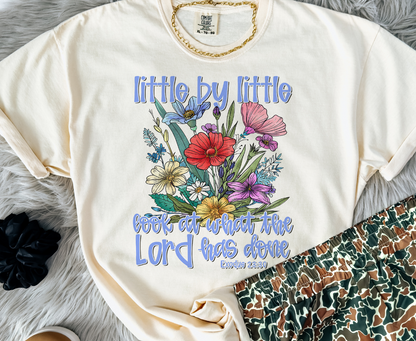 Little By Little Look at What the Lord Has Done