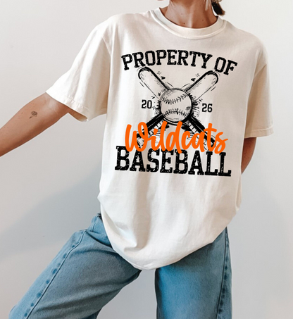 PROPERTY OF SOFTBALL