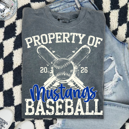 PROPERTY OF BASEBALL