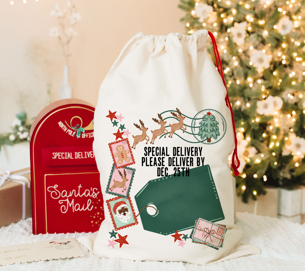 SANTA SACK SPECIAL DELIVERY - DARK