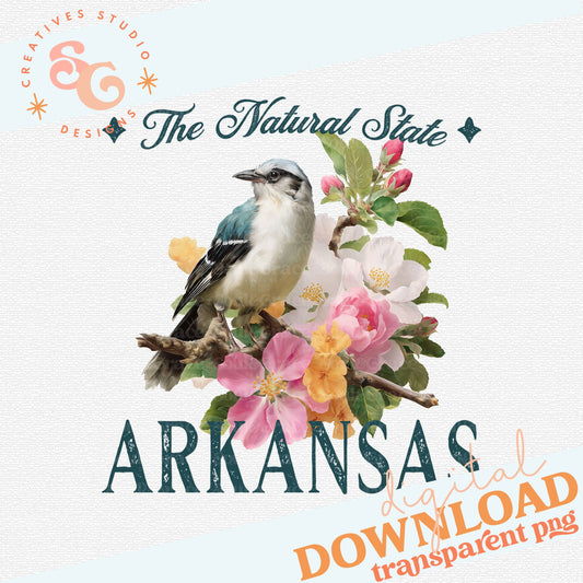 VINTAGE STATES ARKANSAS