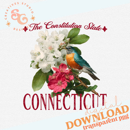 VINTAGE STATES CONNECTICUT