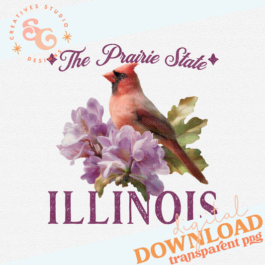 VINTAGE STATES ILLINOIS