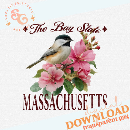 VINTAGE STATES MASSACHUSETTS