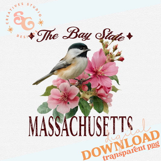 VINTAGE STATES MASSACHUSETTS